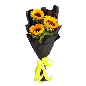 Три счастливых дня